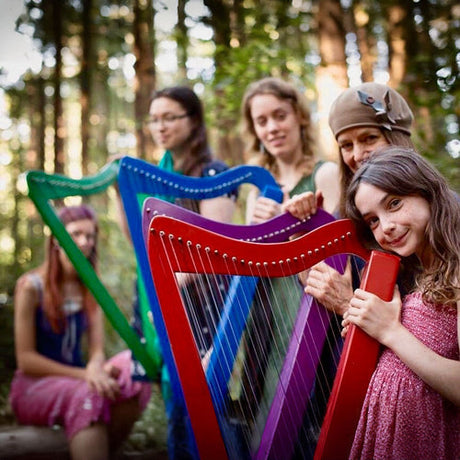 Harpsicle harps to learn to play the harp