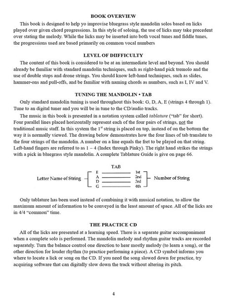 400 mandolin licks sheet music