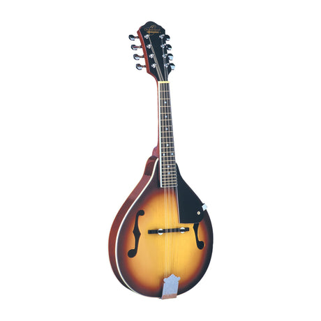 oscar schmidt best mandolin instrument for beginners