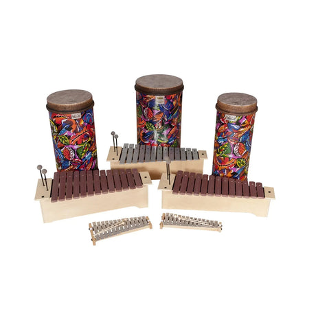 Sonor orff instruments and remo tubano drums bundle