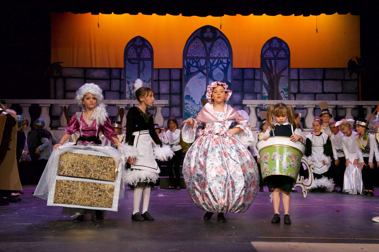 Beauty and the beast jr musical show for middle schools