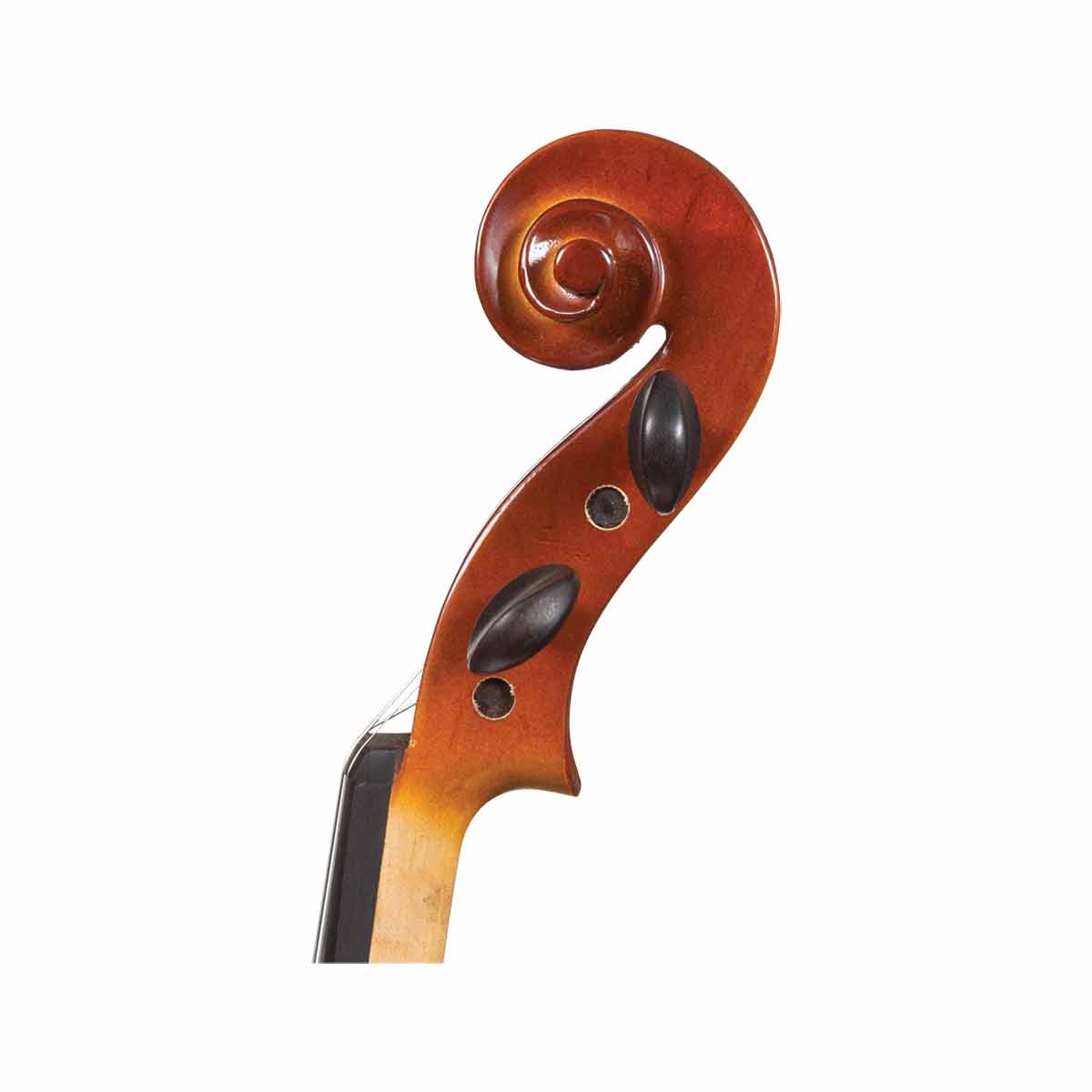 buy a student violin for sale with scroll close up