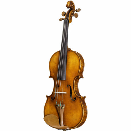 buy a violin for sale howard core cs2900