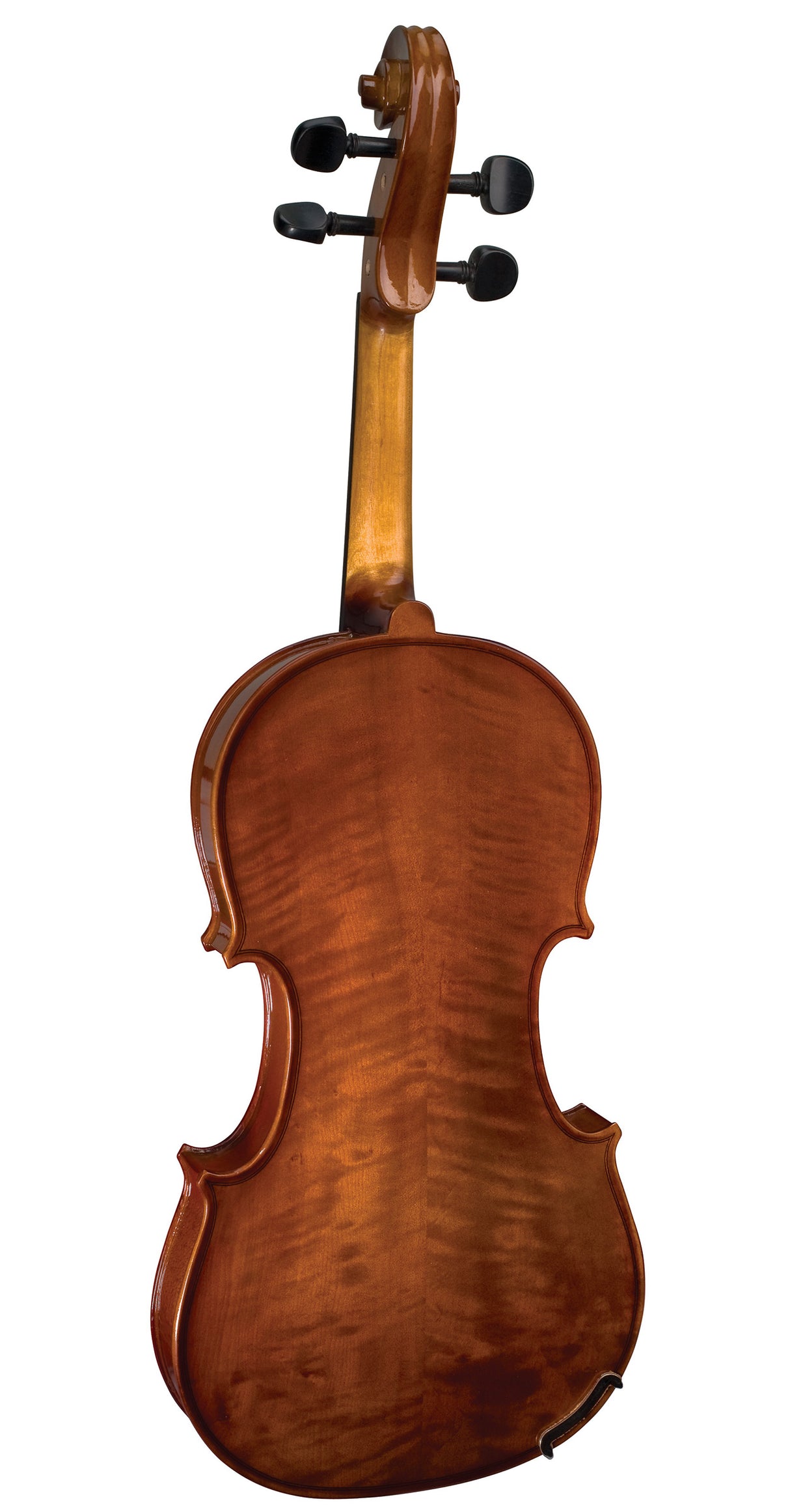 Stentor 1500 Student II Violin