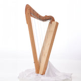 Special Edition Fullsicle Harp