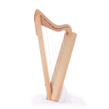 Harpsicle Harp