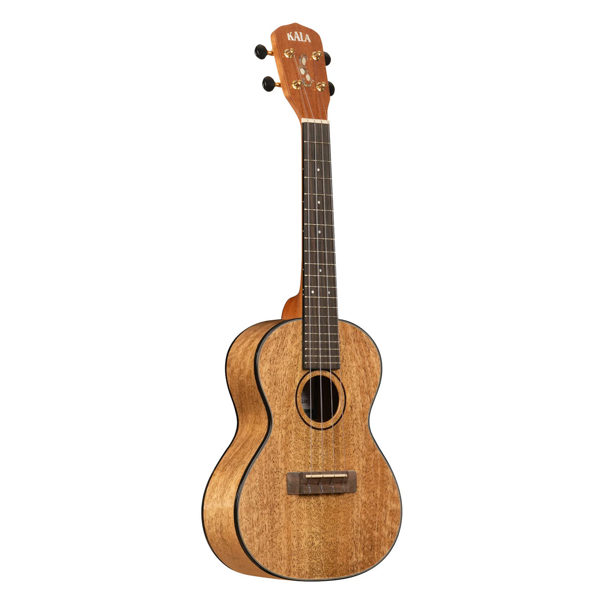 kala-brand-ukulele-concert-classroom