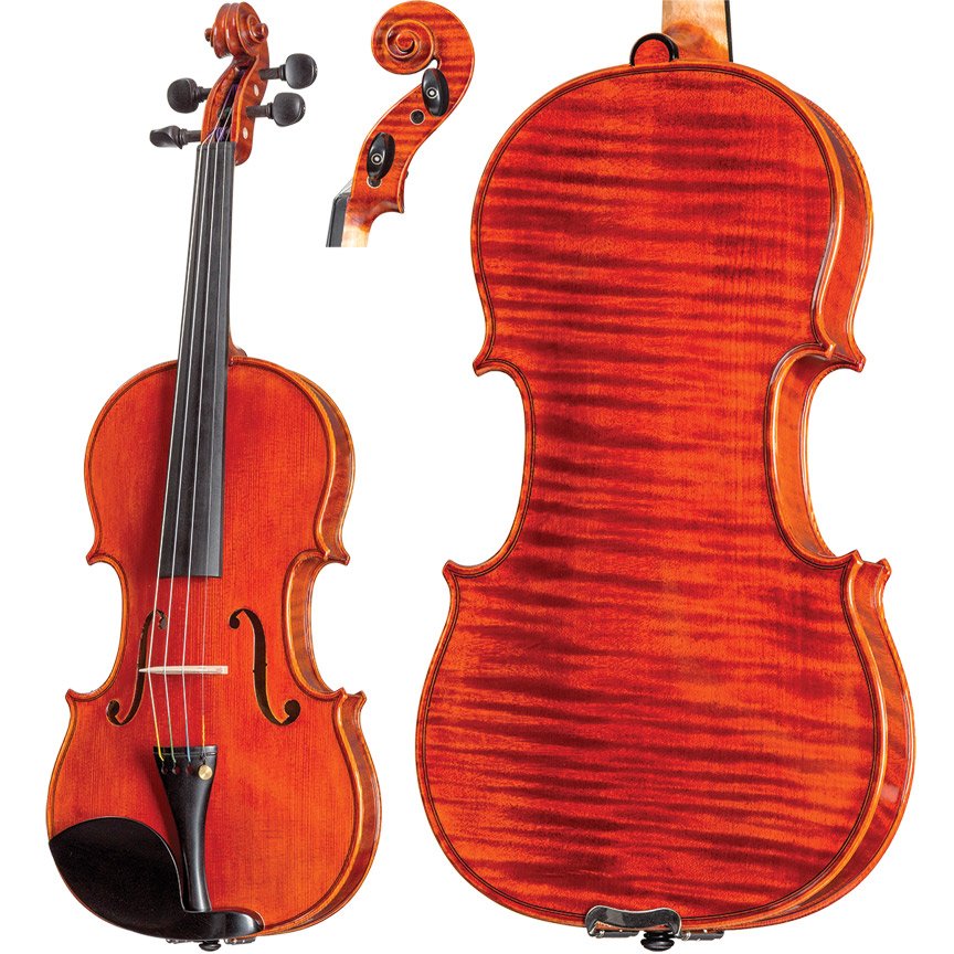 Student level violin for sale from Teton Music