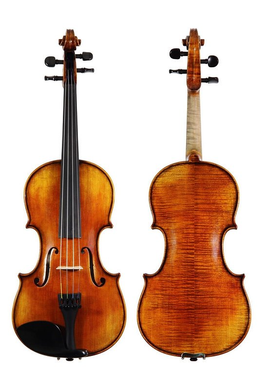 KRUTZ 300 Viola