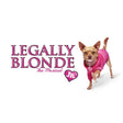 Legally Blonde Jr Musical Shows for Middle Schools