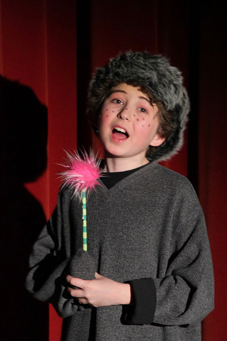 Seussical jr musical shows for middle schools