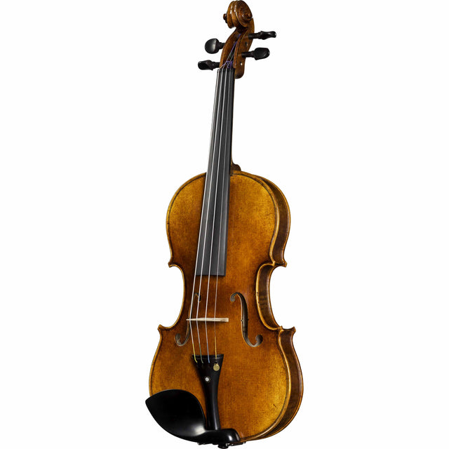 student violin for sale of c10 model instrument