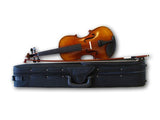 Beginner violin for sale from the best violin brands online