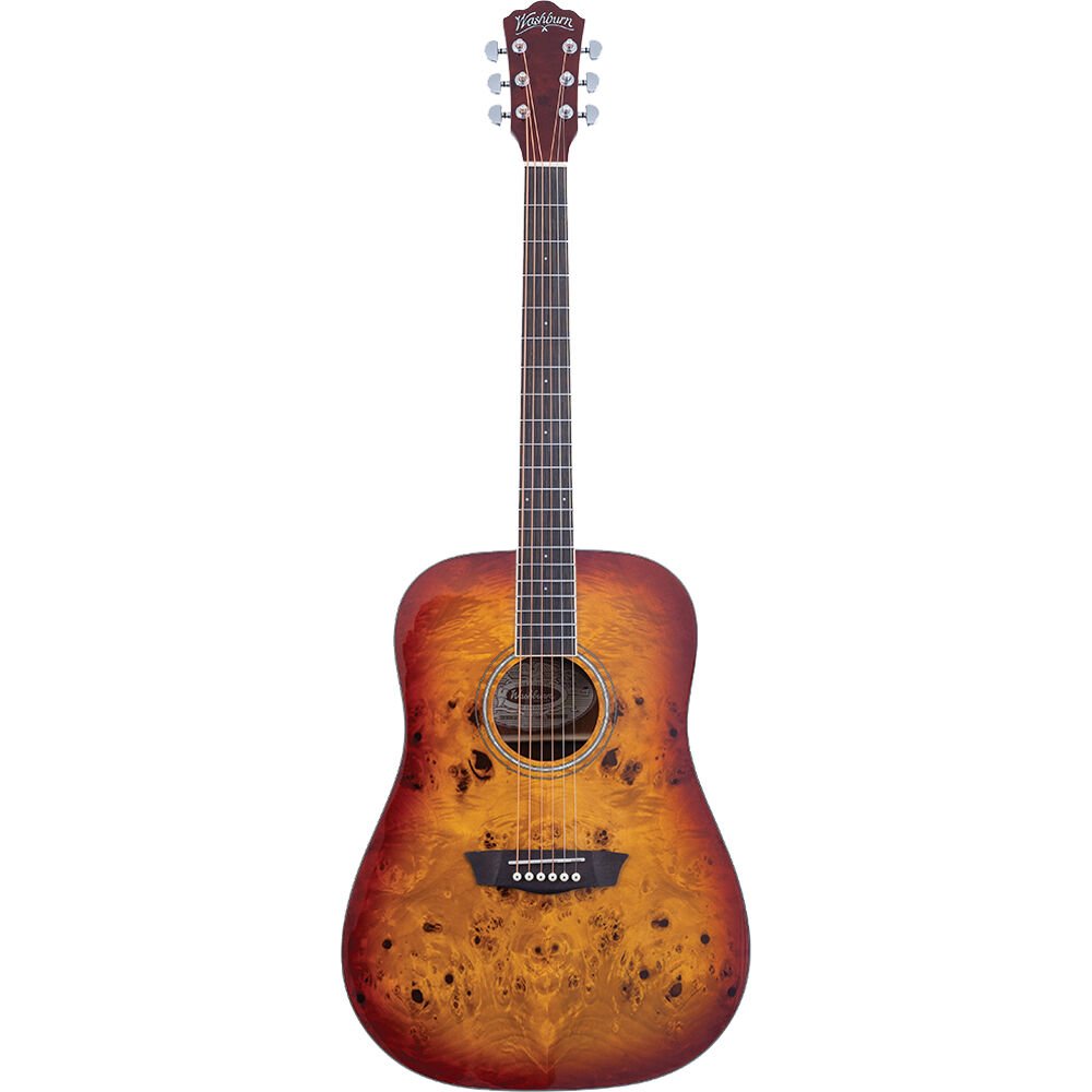 Washburn DFBDA Deep Forest Burl Dreadnought Acoustic Guitar. Amber Fade